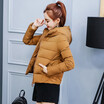 Winter Womens Down Cotton Coat Female Hooded Slim Thin Jacket 2018 New Fashion
