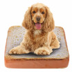 Washable Pet Bed Creative Pet Mat Soft Warm Mattress Bed Cushion Pad Pillow Toast Bread Slice Shape Washable 37 37 7cm 15