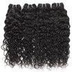 ishow Hot Sell Brazilian Water Wave Virgin Hair 10PCS Wholesale Price Brazilian Virgin Hair Wet&Wavy Virgin Hair Extensions