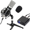 Victory TAKSTAR Teana PC-K500 hardcover version of the professional condenser microphone set recording computer network K song host live broadcast cover voice condenser microphone black