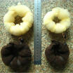 2 Pcs Hot Buns 1 large & 1 Small Elegant Casual Hair Magic Style Maker UK