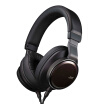 JVC SW01 wood diaphragm Hi-Resolution Audio portable headphones