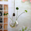 Flower Hanging Vase Glass Planter Plant Terrarium Container Home Wedding Decor