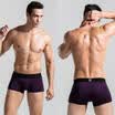 Mens Swimwear Swimsuits Surf Board Beach Wear Swim Trunks Boxer Shorts NEW