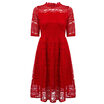 Elegant Round Collar Lace Embroidery Hollow Out Slim Women Dress