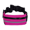 Waist Bum Bag Sports Fanny Pack Belt Money For Running Jogging Cycling Phones