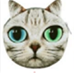 Pouch Bag New Cute Women Shoulder Bag Cat Face Cartoon Print Zipper Closure Messenger Clutch Coin Purse Bag Phone Bag B7W4F4L2