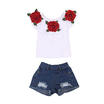 2Pcs Toddler Kids Baby Girls Floral Tops Denim Shorts Outfits Set Clothes Casual