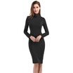 Solid Color High Collar Long Sleeves Dress