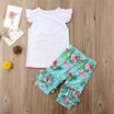 Canis Newborn Kids Baby Girls Flamingo Tops Pants Trousers Outfits Clothes Set