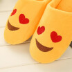 Fashion Embroidery Cute Expression Women Men Winter Warm Slippers House Indoor Floor Loafer Soft Quiet Non-slip