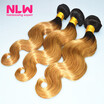 NLW 10A Brazilian virgin human hair 3 bundles Body wave hair extensions Ombre T1B27 Hair color