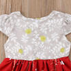 Flower Girls Princess Dress Kids Baby Party Wedding Pageant Tutu Dresses Outfits