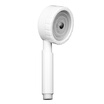 DIC DZ 6174 Hand shower with removable filter shower head