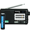PANDA T-01 Portable Radio FM TF Music Playerblack