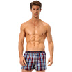 Seven wolves men&39s cotton shorts men&39s armbands men&39s shorts plaids British wind single strip 06494 lattice blue 3XL