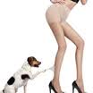 Langsha stockings 5 ​​pairs of women thin section of the core wire resistance to wear off the wire-type plus crotch pantyhose female stockings 3 double color 2 double black