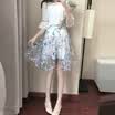 VIVAHEART Eugen yarn Chiffon Printed Skirt Short Sleeve Two-piece Set Skirt VWQZ173233 Blue L