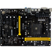 BIOSTAR TB350-BTC Motherboard AMD B350 LGA AM4