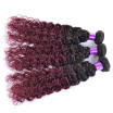brazilian virgin hair Afro Kinky Curly ombre 1B99J burgundy wet&wavy human hair weave bundles deal