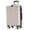 Y6 Trolley Case Caster Large Capacity Baggage Luggage Boxing Passcode ABS Zippered Boarding Box 24 &quot5300-24 Gold