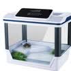 Fish treasure turtle tank aquarium with a balcony Brazil turtle turtle turtle turtle shell box LED lights water cycle digital turret TK-35