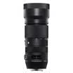 SIGMA 100-400mm F5-63 DG OS HSM Contemporary Full-frame telephoto zoom lens Pop Flower Nikon bayonet lens