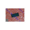 Free shipping 10PCS MAX4315ESE