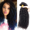 Brazilian Curly Virgin Hair 3 Bundles Brazilian Kinky Curly Hair Extension Wet And Wavy Virgin Brazilian Hair Curly Weave