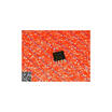 Free shipping 5PCS P24S08 in stock