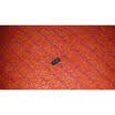 Free shipping 15PCS 100 NEW LTC491CS LTC491IS