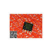 Free shipping 5PCS NX2124A in stock