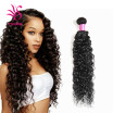 Brazilian Virgin Hair Water Wave 1Bundle Wet And Wavy Virgin Brazilian Human Hair Weave Brazilian Curly Weave Hair Extensions