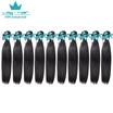 Wholesale 10PcsLot Brazilian Virgin Hair Straight Unprocessed Virgin Brazilian Hair Straight Grade 8A Human Hair Extension