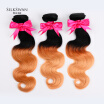 Silkswan Ombre Peruvian Body Wave hair extensions 8-28 inch Remy Human Hair weave bundles Free shipping