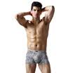 Mens underwear mens underwear 2 urban magic box stretch cotton mens underwear mixed color 77466XL