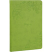 Guangbo GuangBo 128 A5 leather noodles notebook stationery notebook diary green FB60316