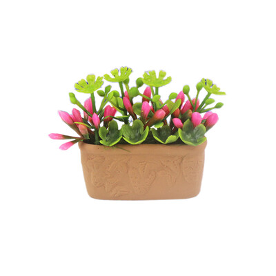 Siaonvr Simulation Decoration Dollhouse Miniature Scene Potted Plant Pretend Play Toy
Siaonvr Simulation Decoration Dollhouse Miniature Scene Potted Plant Pretend Play Toy