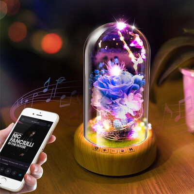 Creative wish streamer bottle led night light eternal flower Bluetooth speaker table lamp beautiful Valentines Day gift Meteor Ga
Creative wish streamer bottle led night light eternal flower Bluetooth speaker table lamp beautiful Valentines Day gift Meteor Ga