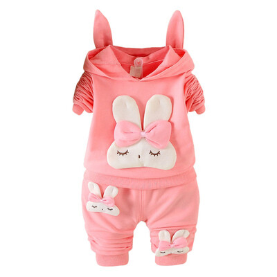 Autumn Baby Long Sleeve Clothes Set Baby Girl Cute Rabbit Pattern Long Sleeve Suit Children Casual Clothing
Autumn Baby Long Sleeve Clothes Set Baby Girl Cute Rabbit Pattern Long Sleeve Suit Children Casual Clothing