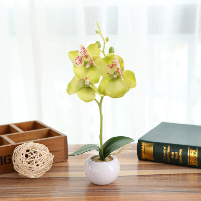 Toponeto Simulated Plant Bonsai Indoor Butterfly Orchid Bonsai Plants Elegance Tranquilit
Toponeto Simulated Plant Bonsai Indoor Butterfly Orchid Bonsai Plants Elegance Tranquilit