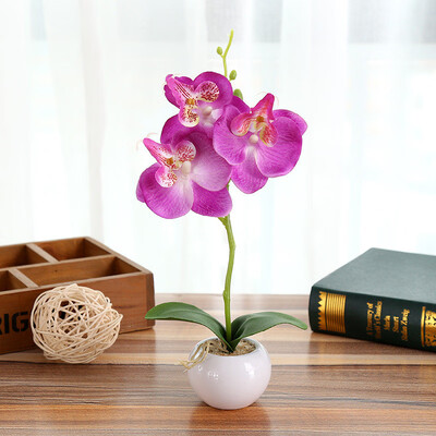 Toponeto Simulated Plant Bonsai Indoor Butterfly Orchid Bonsai Plants Elegance Tranquilit
Toponeto Simulated Plant Bonsai Indoor Butterfly Orchid Bonsai Plants Elegance Tranquilit