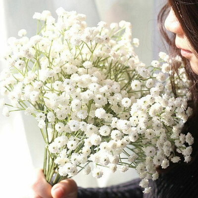 31518pcs Artificial Gypsophila Silk Flower Plant Plastic Flores Party Wedding DIY Home Decor
31518pcs Artificial Gypsophila Silk Flower Plant Plastic Flores Party Wedding DIY Home Decor
