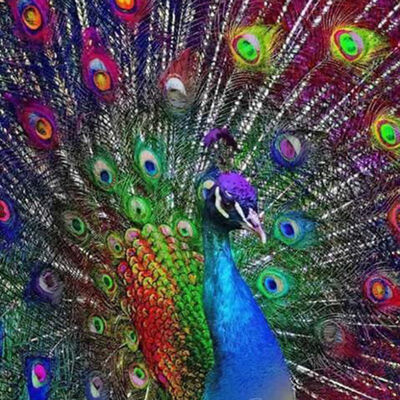Frameless Psychedelic Pattern 5D DIY Diamond Painting Cross Stitch Craft Kit Paint by Number Kits for Adults Kids Full Diamond
Frameless Psychedelic Pattern 5D DIY Diamond Painting Cross Stitch Craft Kit Paint by Number Kits for Adults Kids Full Diamond