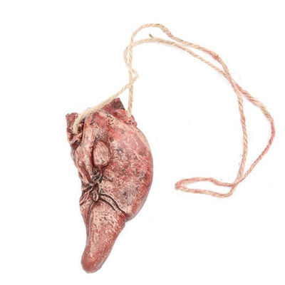 1 Pcs Lifelike Broken Finger Hand Foot Blood Horror Halloween Decoration Severed Limbs Hand Scary Dead Broken Hand Hanging Props
1 Pcs Lifelike Broken Finger Hand Foot Blood Horror Halloween Decoration Severed Limbs Hand Scary Dead Broken Hand Hanging Props