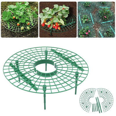 5pcs Strawberry Plant Growing Holder Balcony Planting Rack Fruit Support Plant Flower Climbing Vine Pillar Gardening Stand
5pcs Strawberry Plant Growing Holder Balcony Planting Rack Fruit Support Plant Flower Climbing Vine Pillar Gardening Stand