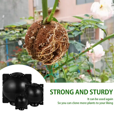 Willstar 6Pcs Plant Rooting Ball Grafting Rooting Growing Box Breeding Case for Garden SML
Willstar 6Pcs Plant Rooting Ball Grafting Rooting Growing Box Breeding Case for Garden SML