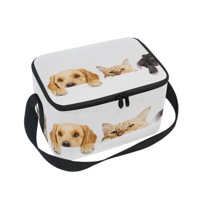 ALAZA Lunch Box Insulated Lunch Bag Large Cooler Dogs And Cats Peeking Over Web Banner Tote Bag
ALAZA Lunch Box Insulated Lunch Bag Large Cooler Dogs And Cats Peeking Over Web Banner Tote Bag