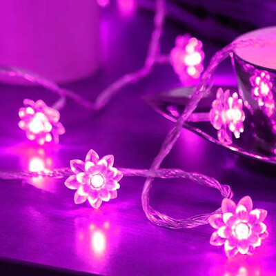 Willstar Solar Powered Garden Fairy String Lights 50 LED Flower Decor Lamp Waterproof
Willstar Solar Powered Garden Fairy String Lights 50 LED Flower Decor Lamp Waterproof