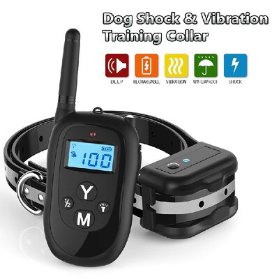 Dog Static Shock Collar Training Vibration Collar Waterproof Shock&Vibration 300 Meters Rechargeabe Shock Collar Levels 1-100
Dog Static Shock Collar Training Vibration Collar Waterproof Shock&Vibration 300 Meters Rechargeabe Shock Collar Levels 1-100